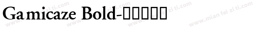 Gamicaze Bold字体转换